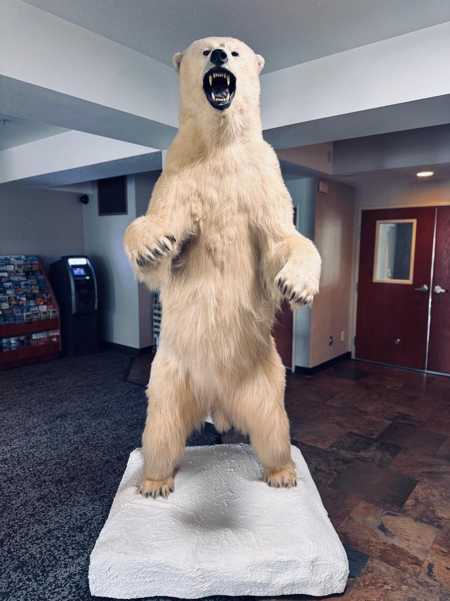 Wyndham Garden Anchorage Airport Ξενοδοχείο Εξωτερικό φωτογραφία